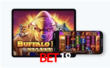 Recursos de Bônus bet18